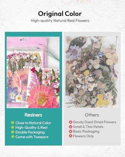 Dried Pressed Flowers, Resiners Dried Flowers for Candle Making Real Natural Pressed Flowers Dry Leaves Kit for DIY Crafts Resin Soap Scrapbook Card Making Jewelry (Gerbera Daisy 100pcs) - color: Bold Gerbera 100pcs
