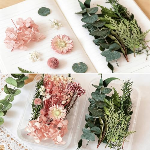 2PCS Dried Flowers Kit, Natural Dried Flowers Kit for DIY Crafts, Scrapbook, Card Making (Stye2_13) - color: Stye2_13