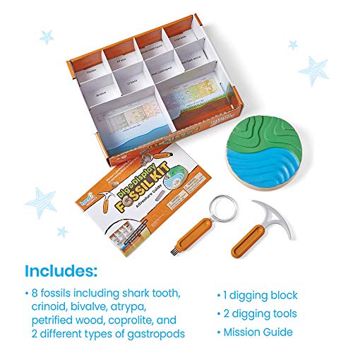 hand2mind Dig & Display Fossil Dig Kit, Fossil Display Case, 8 Real Fossils to Uncover, Dig Kits for Kids, Fossil Digging Kit for Kids, Excavation Kit for Kids, Fossil Science, Archeology Kits