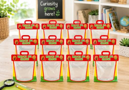 Fun Express Clear Vinyl Pocket Greenhouses - 12 Pack Kids STEM Gardens