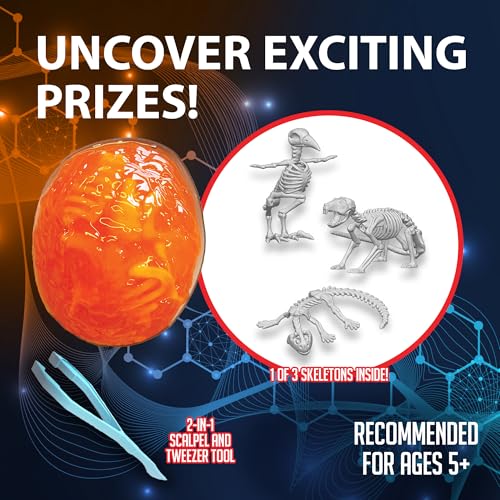 Discover-It Owl Pellet, Science Lab Kit, STEM Toys for Kids, Ages 5+ - style: Owl Pellet
