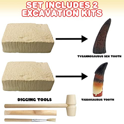 ArtCreativity Dinosaur Dig Kit, T-Rex & Tarbosaurus Fossil Teeth 2-Pack
