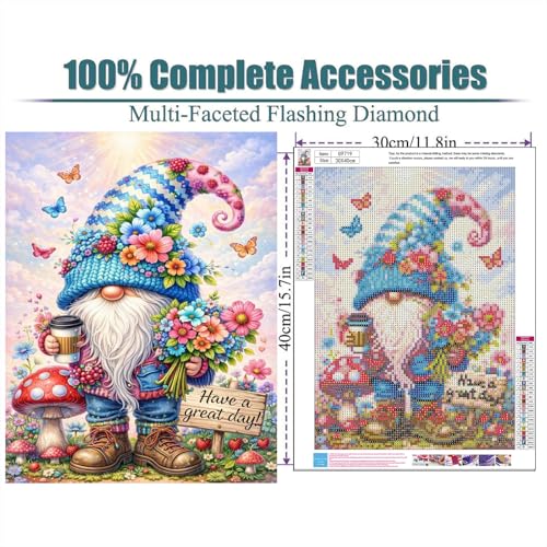 ajepon Gnome Diamond Art Kits for Adults 12X16 inch - color: G9719