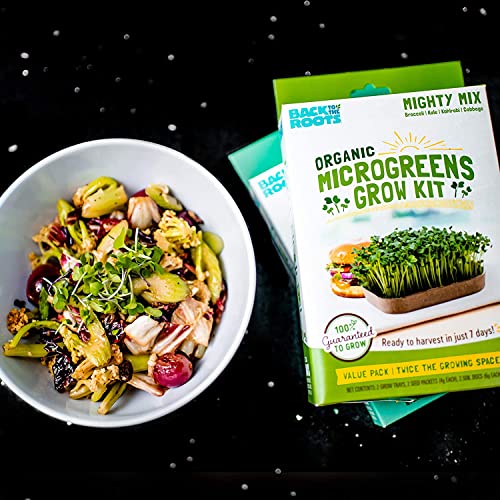 Back to the Roots DIY Microgreen Grow Kit, 6-Grow Variety Pack - color: Microgreen 6ct