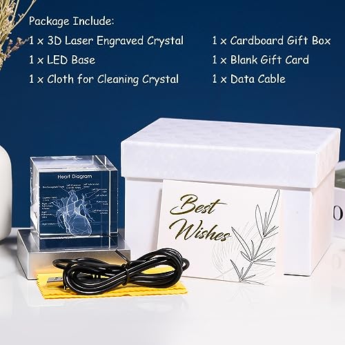 Movdyka 3D Crystal Human Heart Model Doctor Gifts for Men Women - color: Heart