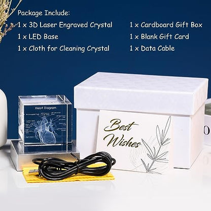 Movdyka 3D Crystal Human Heart Model Doctor Gifts for Men Women - color: Heart