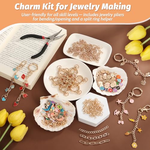 500Pcs Charms Lip Gloss Keychain Making Kit, DIY Craft Supplies with Charms, Key Chain Hooks, Jump Rings, Lobster Clasps, Chains & Tools, Jewelry Making Kit for Custom Keychains, Valentines Gifts - color: Gold-500Pcs Kit