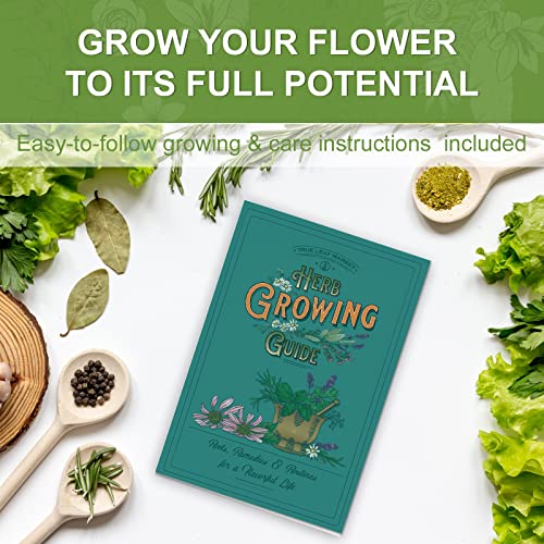 Meekear 5 Herb Seeds Garden Starter Kit with Complete Planting Kit & Wooden Flower Box, Growing into Basil, Parsley, Rosemary, Thyme, Mint for Kitchen Windowsill Herb Garden DIY