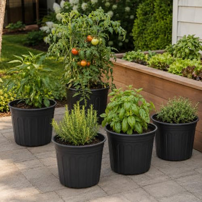 60 Pack 12.8 Inch 5 Gallon Large Plastic Plant Nursery Pots - size: 60pcs 5 gallon