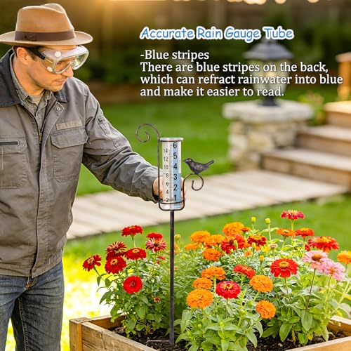 Rain Gauge Outdoor, Hummingbird Rain Gauge for Lawn, Yard and Garden - color: Hummingbird