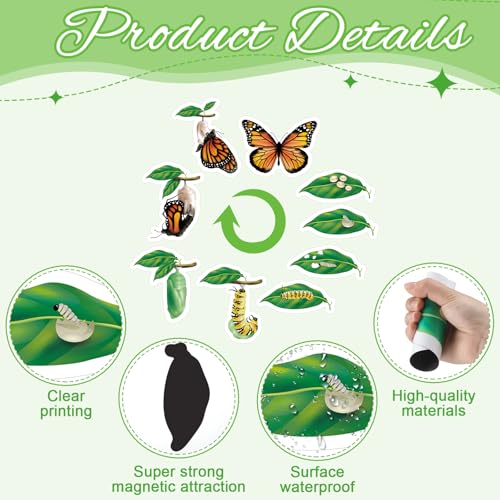 Relaxweex 9 Pcs Magnetic Butterfly Life Cycle Toys for Kid Caterpillar to Monarch Butterfly Growth Cycle Toy Insect Figures for Kids Education Preschool Classroom Insect Themed Teaching Tools Supplies