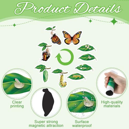 Relaxweex 9 Pcs Magnetic Butterfly Life Cycle Toys for Kid Caterpillar to Monarch Butterfly Growth Cycle Toy Insect Figures for Kids Education Preschool Classroom Insect Themed Teaching Tools Supplies