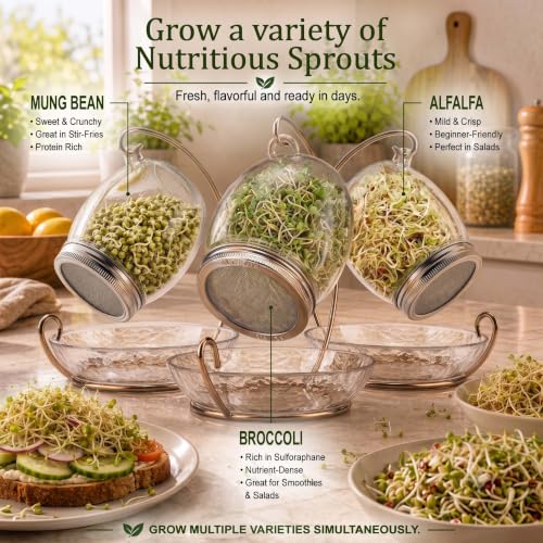 Premium Sprouting Jar Kit - Unique 30 oz Wide Mouth Sprouting Jar, Stand, Tray and 316 Stainless Screen Lid | Decorative Indoor Seed Sprouter and Germinator (1 Kit)