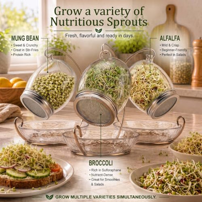 Premium Sprouting Jar Kit - Unique 30 oz Wide Mouth Sprouting Jar, Stand, Tray and 316 Stainless Screen Lid | Decorative Indoor Seed Sprouter and Germinator (1 Kit)