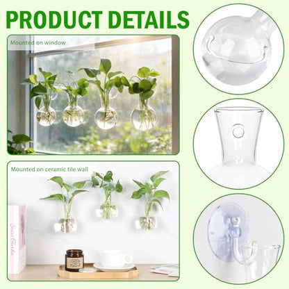 Bunmery 6 pcs Window Propagation Stations, Easy to Install Plant Propagation Bulbs with Suckion Cups, No Nails Wall Hanging Planter Propagation Station, Glass Plant Terrarium Vase - color: Clear Bulb, size: 6 PCS
