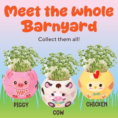 Creativity for Kids Plant-a-Pet Barnyard Pig Kit | Decorate, Plant & Grow Your Own Pet | Chia Seed Gardening Craft | Spring Crafts & Screen-Free Kids Activity (Ages 6+) - style: Chicken