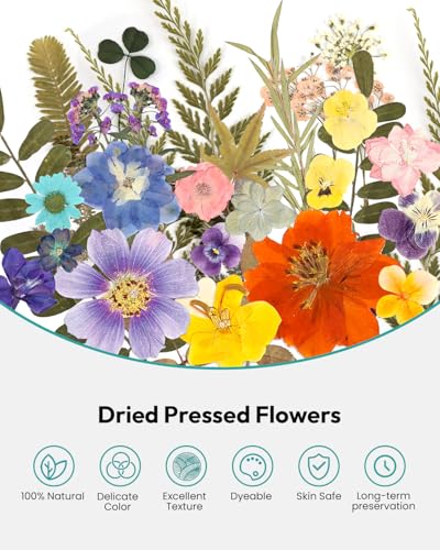 Resiners 100Pcs Dried Flowers, Pressed Flowers for Craft(Retro Style) - color: Blue Petal 100pcs