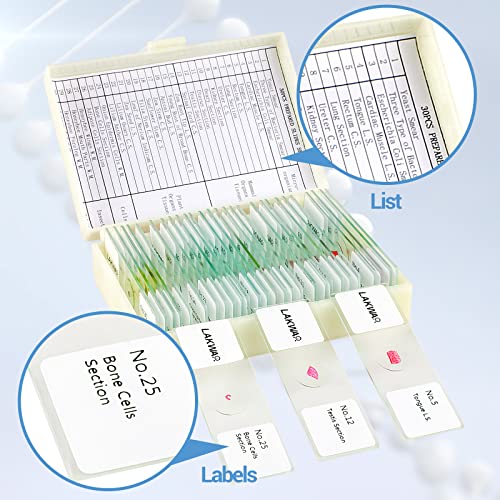 30 Microscope Slides with Specimens for Kids, Prepared Microscope Slides for Kids Microbiology, Glass Slides for Microscope, Biology Gifts for Adults Kids - size: 30pcs