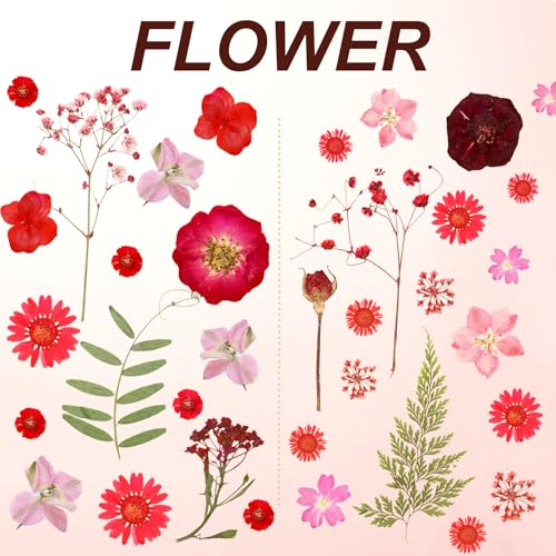 Dried Pressed Flowers Real Pressed Flowers Natural Dry Leaves Bulk Mixed Colorful Herbs Kit with Tweezers for Scrapbooking DIY Candle Jewelry Crafts Making Nails (Red) - color: Red
