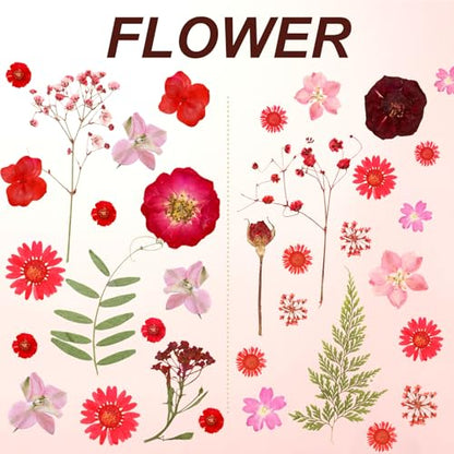 Dried Pressed Flowers Real Pressed Flowers Natural Dry Leaves Bulk Mixed Colorful Herbs Kit with Tweezers for Scrapbooking DIY Candle Jewelry Crafts Making Nails (Red) - color: Red