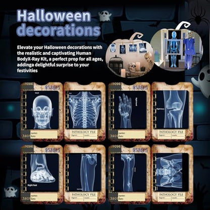 Human X-Rays for Kids' Light Table - 14-Piece Skeleton Puzzle & 7 Body System Charts (Nerves, Vessels, Lymphatic) - X-Ray Toys for Kids, STEM Toy for Light Table, School Projects & Doctor Role Play