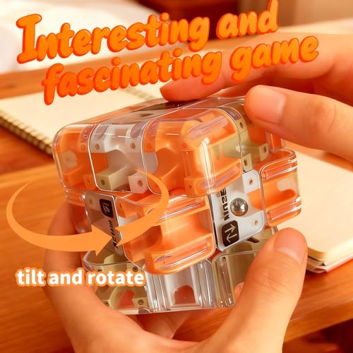 Labyrinth 3D Puzzles Maze Cube Spatial Awareness Brain Training Educational Focus Game Gift for Adults Teens