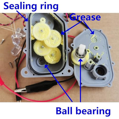 Nightbreeze Hand Crank Generator for Physics & Science Labs – Energy Conversion Teaching Apparatus with LED Bulbs – Classroom Demonstration, School Science Education, Output DC 1-12V