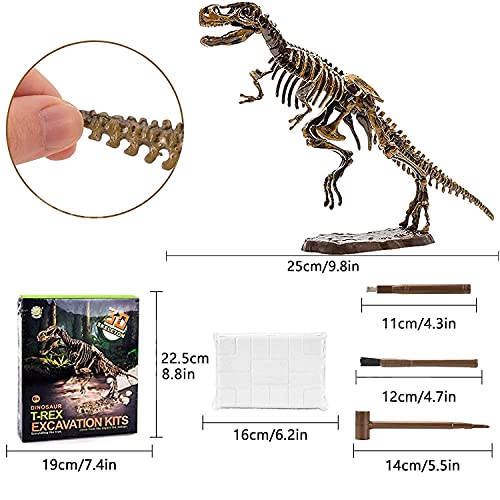 Dig & Discover Dino Tyrannosaurus Rex Dinosaur Skeleton 3D Fossil Bones Excavation, Science Educational Toy Kit for Kids, Children - color: Tyrannosaurus Rex