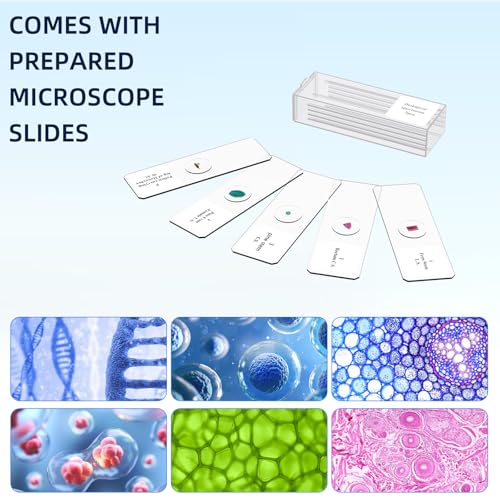 40-2000X Compound Microscope for Kids Adults Beginners