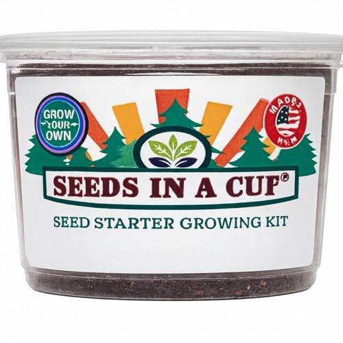 Japanese Maple Tree Seed Starter Grow Kit (Bonsai Ready) - Premium Nutrient-Rich Soil (No Discs) & Recyclable Planters - USA-Made Indoor Outdoor Gardening Gift for Men & Women - style: Japanese Maple