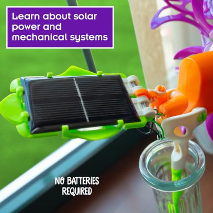 Thames & Kosmos SolarFlower Purple Majestic STEM Kit | Build a Motorized Solar-Powered Flower with Spinning, Colorful Petals, Educational Gift for Kids Ages 8+, Adults - color: Purple