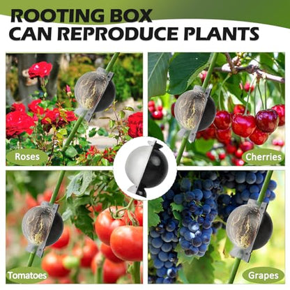12 Pcs Air Layering Propagation Kit with Zip Ties, Half Transparent Ball, M - color: 12 Pieces Medium