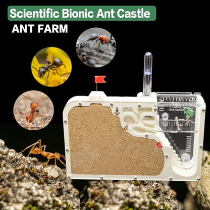 Ant Farm Castle - Ant Farms for Kids with Yellow Sand Complete Tool Kit, Live Ants Habitat Science Kit - Great Gift for Boys, Girls and Student