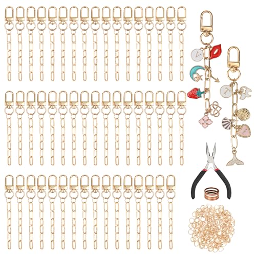 Starry 252Pcs Keychain Making Kit 50 Set Keychain Clips DIY Bag Charm Kit with Extender Chain Bulk 200 Jump Ring for Jewelry Bags Accessories DIY Craft Supplies - style: 50 Set