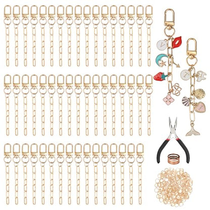 Starry 252Pcs Keychain Making Kit 50 Set Keychain Clips DIY Bag Charm Kit with Extender Chain Bulk 200 Jump Ring for Jewelry Bags Accessories DIY Craft Supplies - style: 50 Set