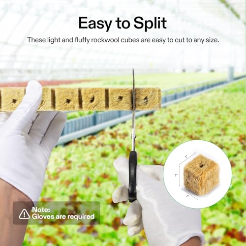 VIVOSUN 1" Rockwool Cubes, 200 Plugs Stonewool Starter Grow Cubes for Cuttings, Cloning, Plant Propagation, Seed Starting, Hydroponic Grow Media for Vigorous Plant Growth (Pack of 2) - size: 1"-200 Plugs (Pack of 2)