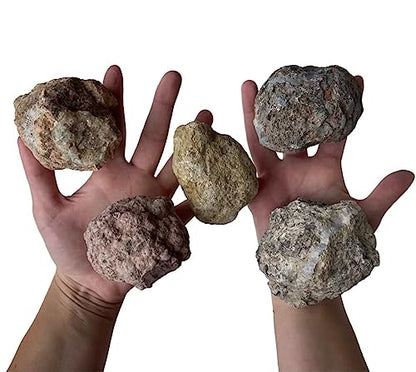 Premium Break Open Your Own Geodes Kit - Wood Gift Box Large 5 ct.