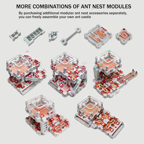 Antsir Ant Farm Nest Kit,DIY Science Terrarium with Acrylic Water Tower, Nurturing Room & Large Observation Area for Live Ants (Formicarium Grey) - color: Grey