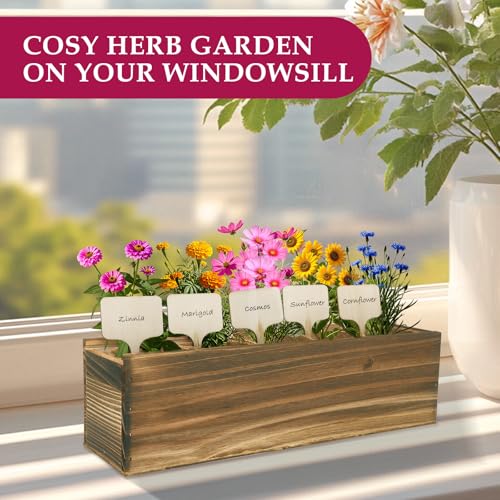 5 Indoor Flowers Growing Kit for Beginners, Complete Planting Starter Set with Zinnia, Cosmos, Sunflower, Marigold, Cornflower Seeds, Unique Gardening Gifts for Women & Men