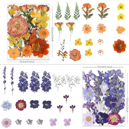 LUXEEASE 4-Color 80P Natural Dried Pressed Flowers - color: Orange/Purple/Pink/Neutral 80p