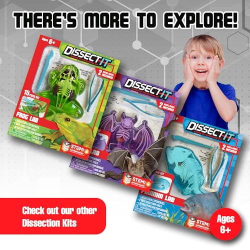 Top Secret Toys Dissect-It Mini Labs Salamander Dissection Kit for Kids, Realistic Synthetic Kids Science Kit - On, Biology and Animal Anatomy, STEM Toy, Ages 6+ - style: Mini Salamander