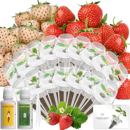 LYKOCLEAN Herb Seed Pod Kit Compatible with AeroGarden Hydroponics Growing System, Complete Indoor Gardening Supply (Strawberry, 16-pods) - color: Strawberry, size: 16-pods