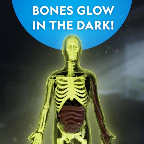 National Geographic Human Body Model for Kids 32-Piece Anatomy Set