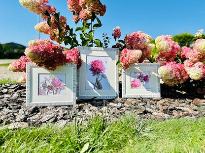 Aine A1009 Peonies. Delight Counted Cross Stitch Kit 7 x 6 in - size: Peonies. Delight