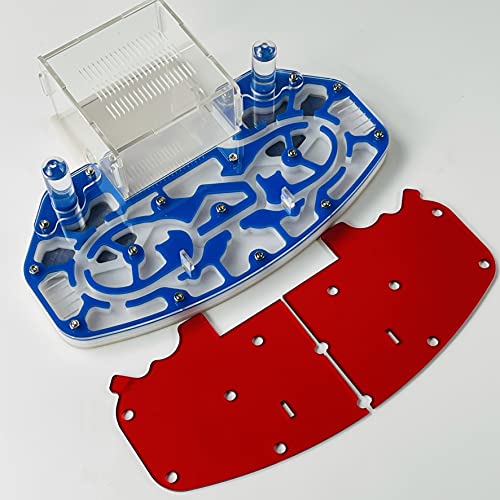 Large Size 24 * 18cm Acrylic Ant Farm with Built-in Arena Platform (Blue) - color: Blue