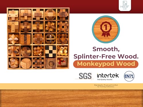 BSIRI 25 in 1 Wooden Brain Teaser Puzzles for Adults and Teens Interlocking 3D Mini Wood Mind Games Hand and Mind Puzzle Teasers Assembly & Disentanglement Set Toys Coffee Table Games Gift - style: 25 Puzzle Set