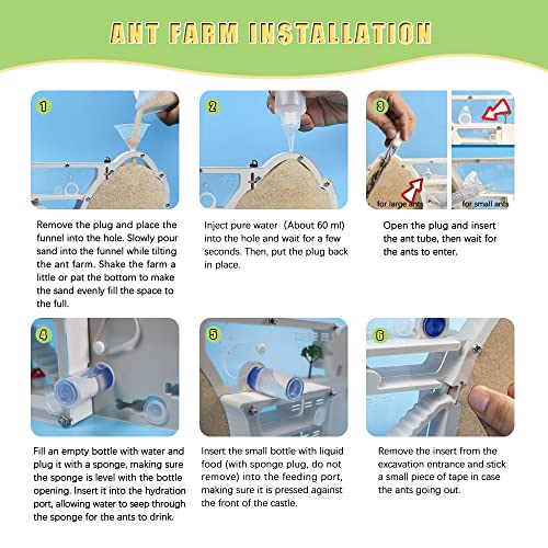 ELNMLHT Ant Farm Castle, Ant Farms with Yellow Sand and Tool Kit, Ant Colony Observation Kit, Ant Viewing Habitat Science Kit, Educational & Learning Science Kit for Kids, Adults, Student - color: Ant Farm D
