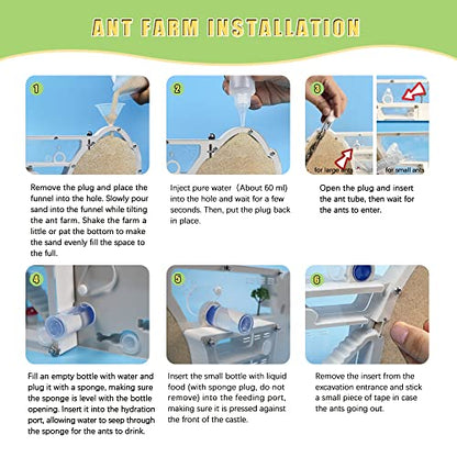 ELNMLHT Ant Farm Castle, Ant Farms with Yellow Sand and Tool Kit, Ant Colony Observation Kit, Ant Viewing Habitat Science Kit, Educational & Learning Science Kit for Kids, Adults, Student - color: Ant Farm D