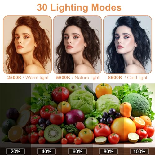 2-Pack LED Video Lighting Kit, Anautin 15W/1700Lux Photography Lighting with Tripod Stand, 2500-8500K Dimmable Streaming Light for Video Recording, Gaming, Podcast, Barber, Salon, TikTok, YouTube - size: 2-Pack, style: 15W Studio Light