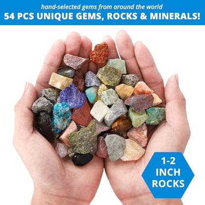 PIBEX Rock Collection Starter Kit, 54 Rocks & Minerals with Name Labels - style: 54PC Starter Edition